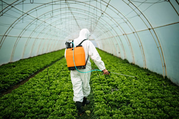 Best Best Pest Control Companies  in Coosada, AL
