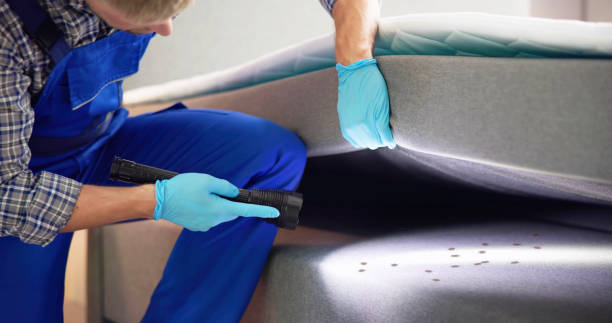 Best Affordable Pest Control Services  in Coosada, AL