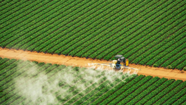 Best Cockroach Control Services  in Coosada, AL