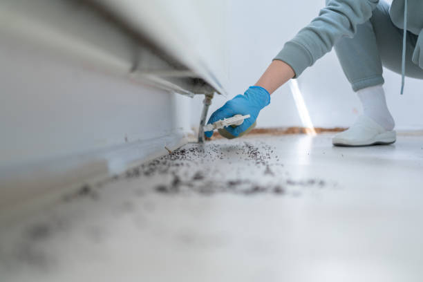 Best Flea Control Services  in Coosada, AL