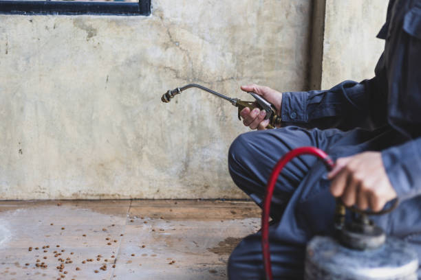 Best Emergency Pest Control  in Coosada, AL