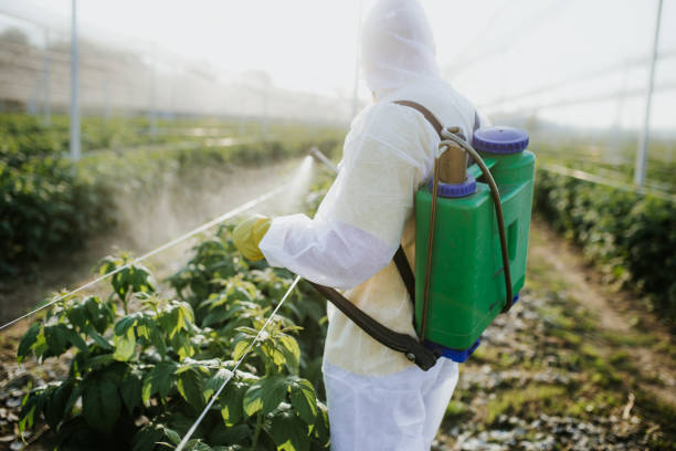 Best Mosquito Control Services  in Coosada, AL